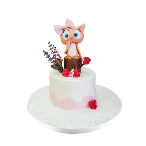 Sevimli Baykuş Doğum Günü Pastası